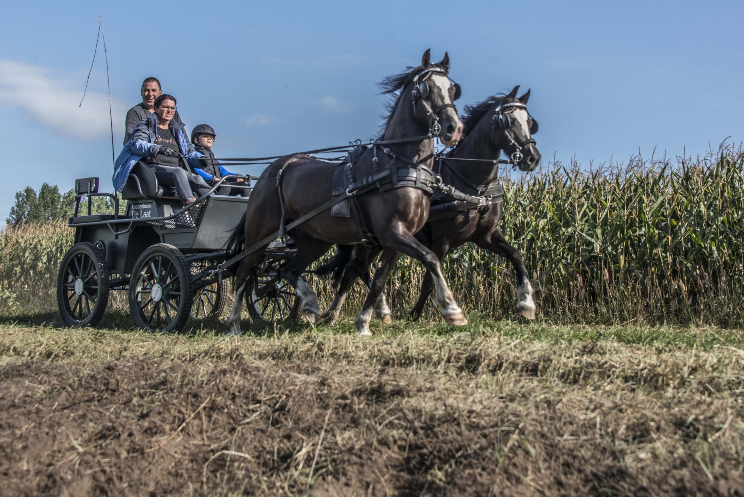 (c) Paardenrally.nl